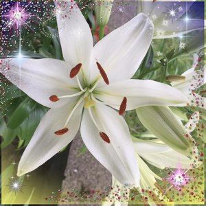 Meet your Posher, Fran